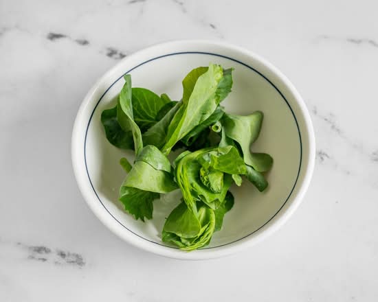 Pea Shoots / Pousses de pois 豌豆苗